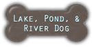 Lake Pond River Dog