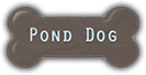 Pond Dog