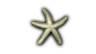 small starfish