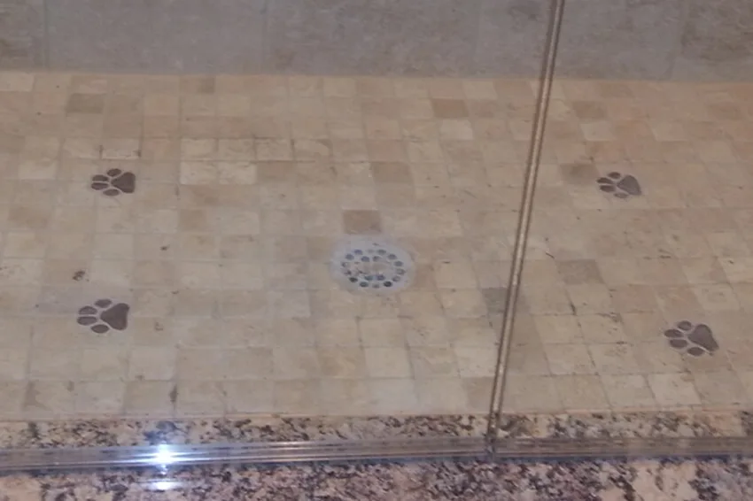 dog bath tile paws