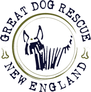 Great Dog Rescue New England Logo