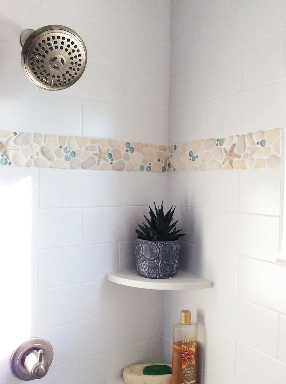 shower starfish mosaic tile border