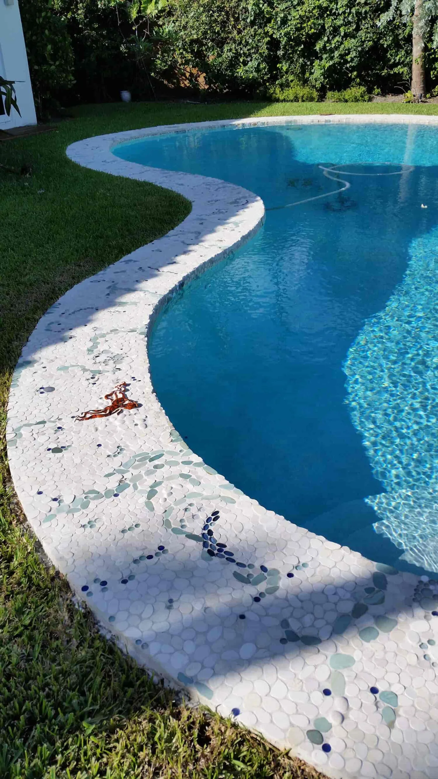 pool coping tile decorative