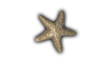 Extra Small Starfish - 3" Glazed Ceramic Tile