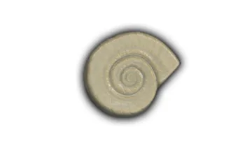 Flat Nautilus Shell - 4" Glazed Ceramic Tile