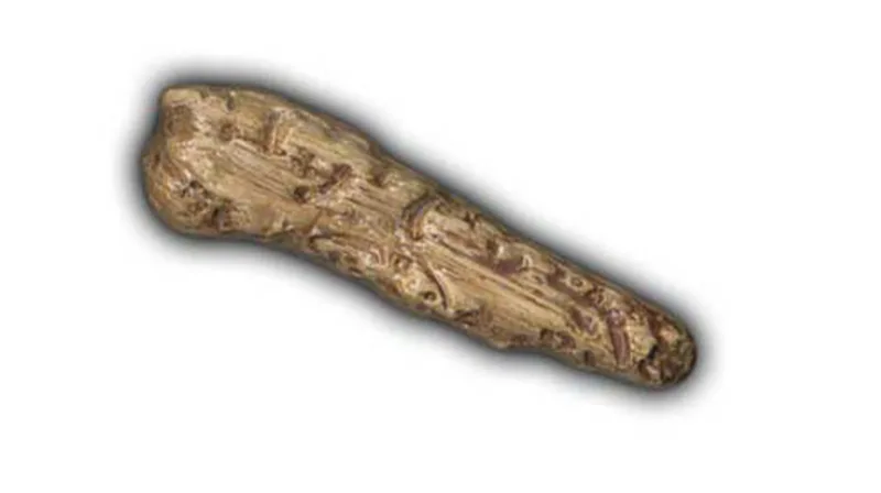 Large Driftwood - 8" Glazed Ceramic Tile 1 Large Driftwood - 8" Glazed Ceramic Tile