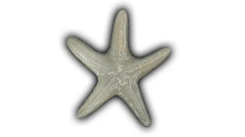 Large Flat Starfish - 8" Glazed Ceramic Tile 1 Large Flat Starfish - 8" Glazed Ceramic Tile