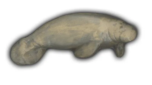 Large Manatee - 7" Glazed Ceramic Tile 1 Large Manatee - 7" Glazed Ceramic Tile