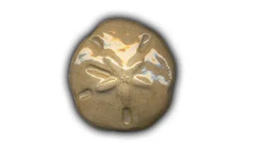 Large Sand Dollar - 3" Glazed Ceramic Tile