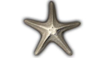 Large Starfish - 7" Glazed Ceramic Tile