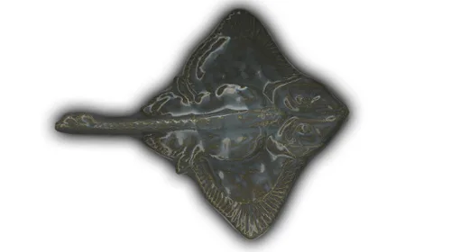 Large Ray - 11.5" Glazed Ceramic Tile 1 Large Ray - 11.5" Glazed Ceramic Tile