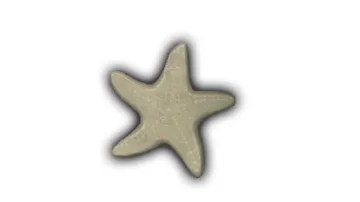 Medium Flat Starfish - 5" Glazed Ceramic Tile