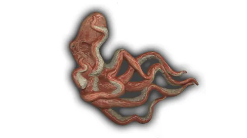 Small Octopus - 6.5" Glazed Ceramic Tile