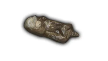 Sea Otter (Mom & Baby) - 5" Glazed Ceramic Tile