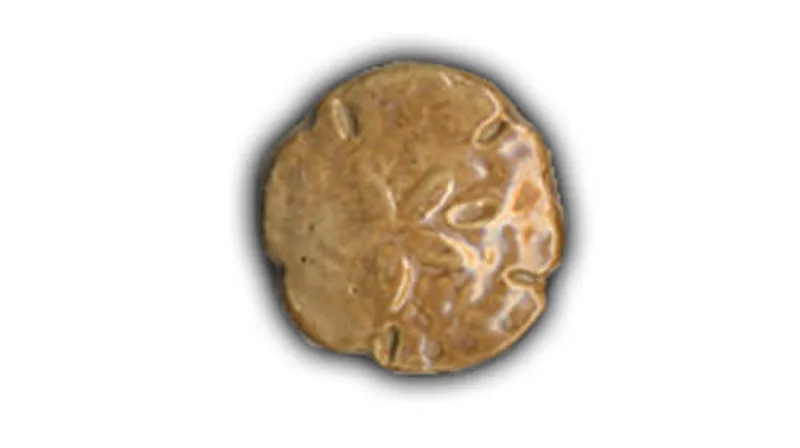 Small Sand Dollar - 1.5" Glazed Ceramic Tile 1 Small Sand Dollar - 1.5" Glazed Ceramic Tile