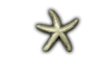 Small Starfish - 4" Glazed Ceramic Tile