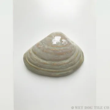 5 inch handmade glazed stoneware quahog shell tile