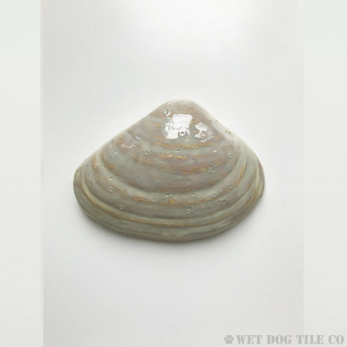 Large Quahog Shell - 5" Glazed Ceramic Tile 1 5 inch handmade glazed stoneware quahog shell tile