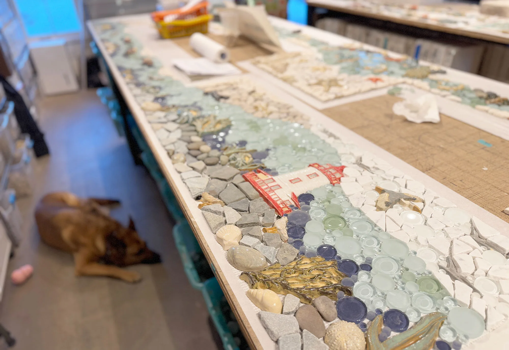 Summer Vibes at Wet Dog: Ocean-Themed Tile to Brighten Winter Days