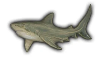 Great White Shark - 7" Glazed Ceramic Tile