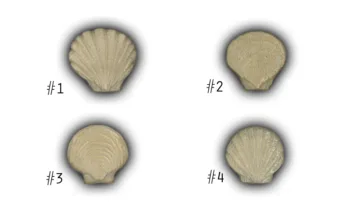 Small Scallop Shells - 2" Glazed Ceramic Tiles