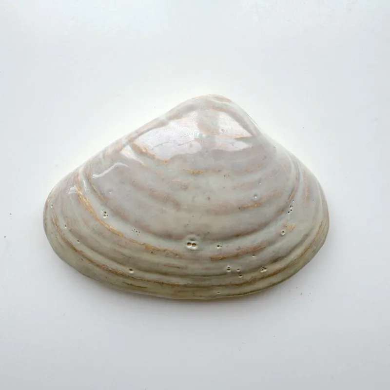 Large Quahog Shell - 5" Glazed Ceramic Tile