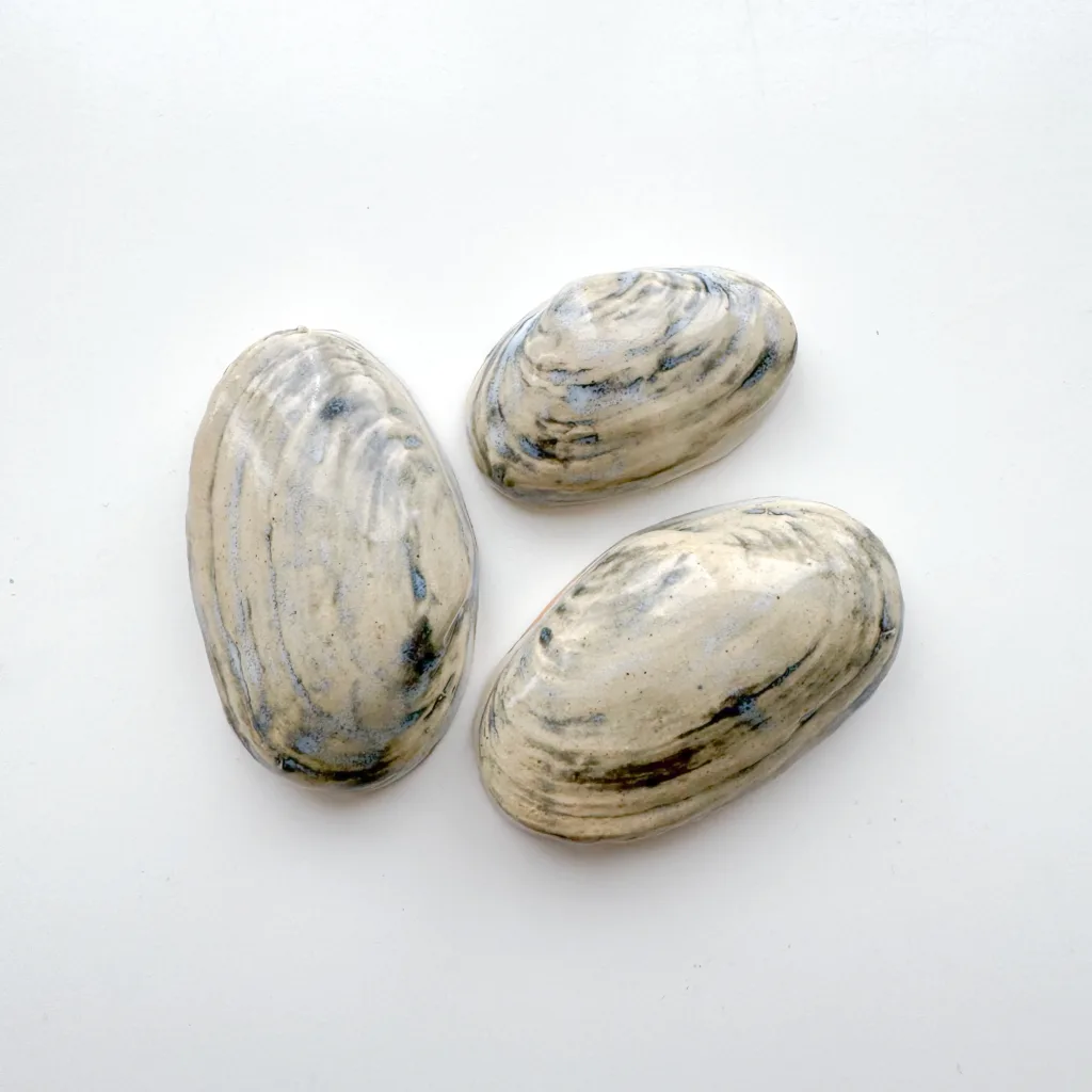 Small Quahog Shells - 2-3" Glazed Ceramic Tiles