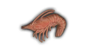 Shrimp - 3" Glazed Ceramic Tile