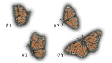 Small Butterflies - 2-3" Glazed Ceramic Tiles