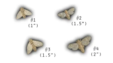 XS Moths - 1-2" Glazed Ceramic Tiles
